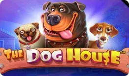 LuckyElf – The Dog House